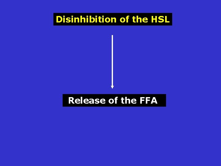 Disinhibition of the HSL Release of the FFA 