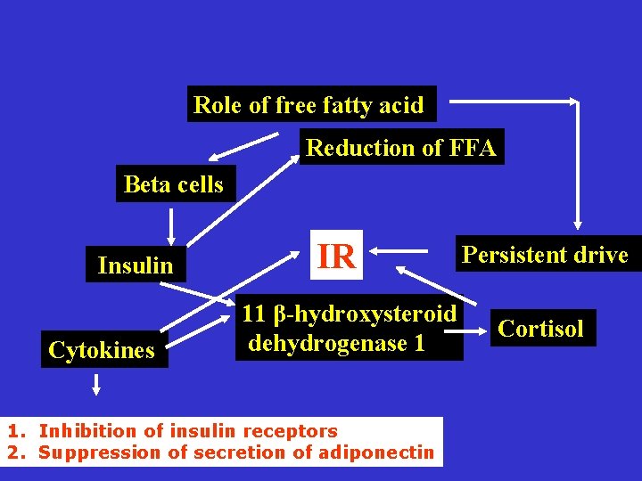 Role of free fatty acid Reduction of FFA Beta cells Insulin Cytokines IR 11