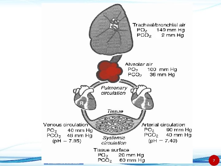 Dr. Mazen Alzaharna CC 2018/1 7 
