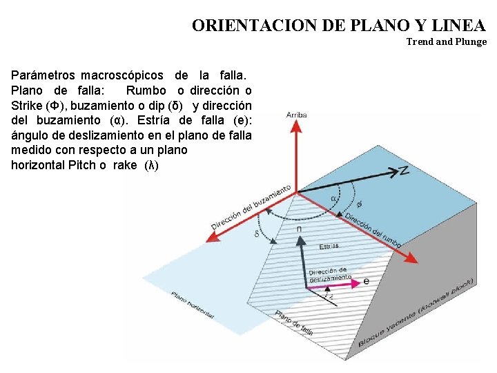 ORIENTACION DE PLANO Y LINEA Trend and Plunge Parámetros macroscópicos de la falla. Plano