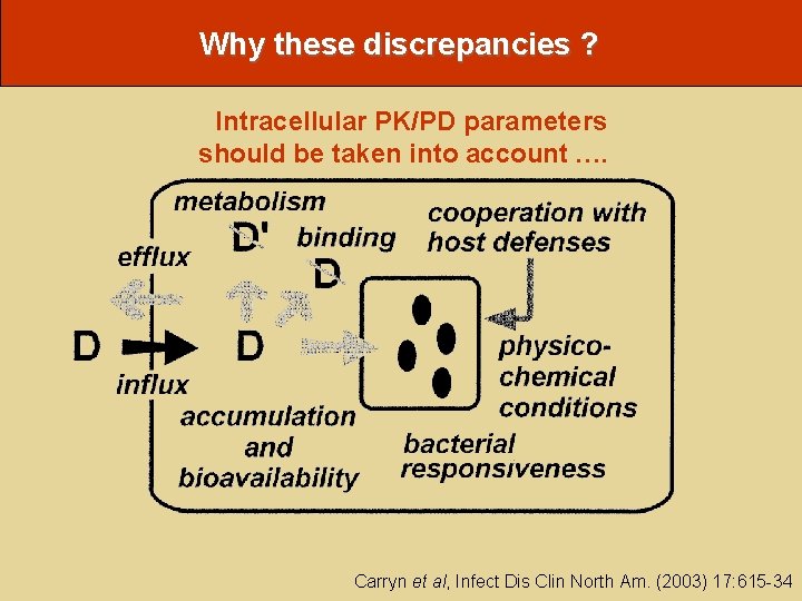 Why these discrepancies ? Intracellular PK/PD parameters should be taken into account …. Carryn