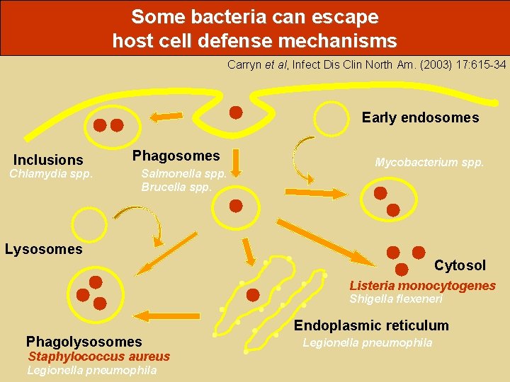 Some bacteria can escape host cell defense mechanisms Carryn et al, Infect Dis Clin