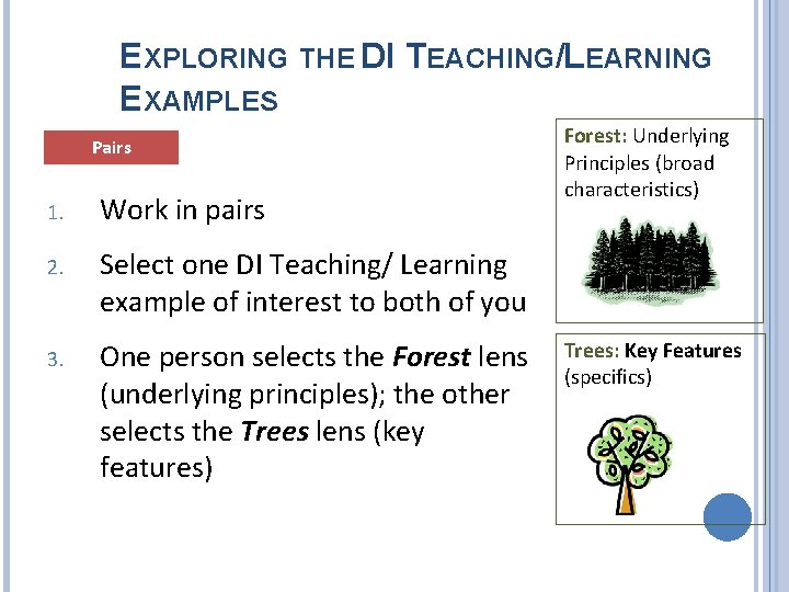 EXPLORING THE DI TEACHING/LEARNING EXAMPLES Pairs 1. Work in pairs 2. Select one DI