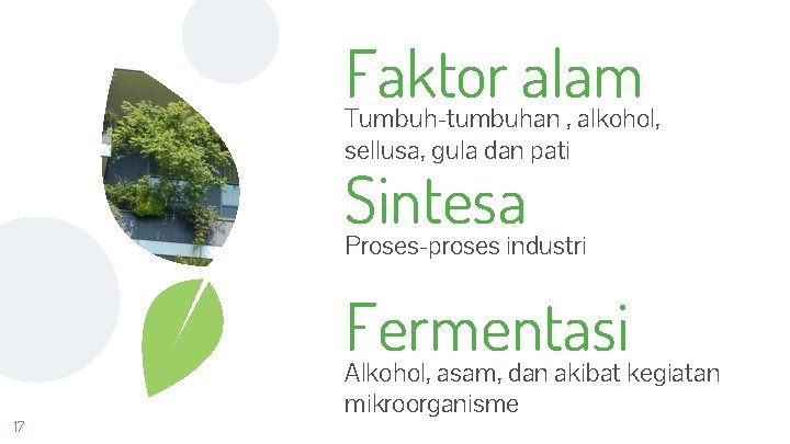 Faktor alam Tumbuh-tumbuhan , alkohol, sellusa, gula dan pati Sintesa Proses-proses industri Fermentasi 17
