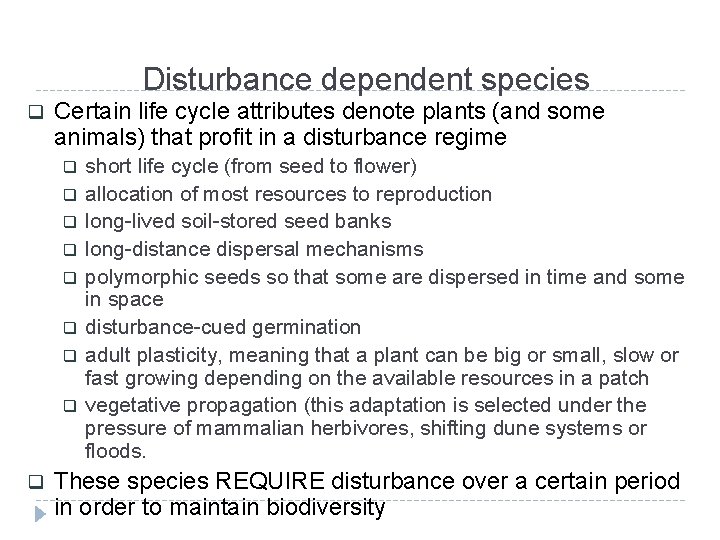 Disturbance dependent species q Certain life cycle attributes denote plants (and some animals) that