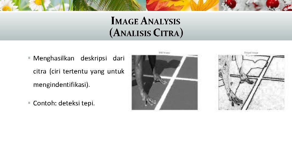 IMAGE ANALYSIS (ANALISIS CITRA) § Menghasilkan deskripsi dari citra (ciri tertentu yang untuk mengindentifikasi).