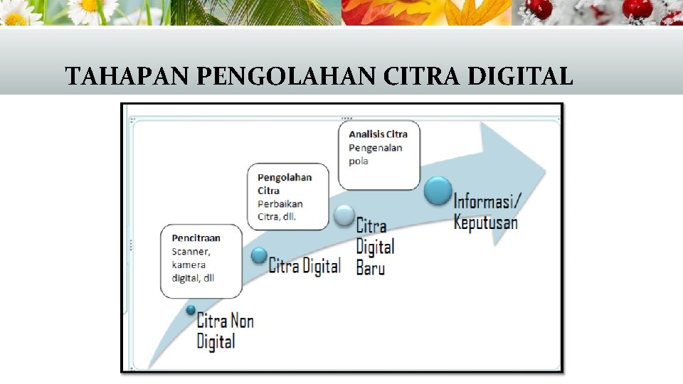 TAHAPAN PENGOLAHAN CITRA DIGITAL 