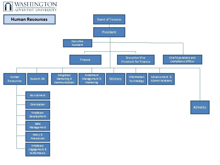 Organizational Chart Board Of Trustees 