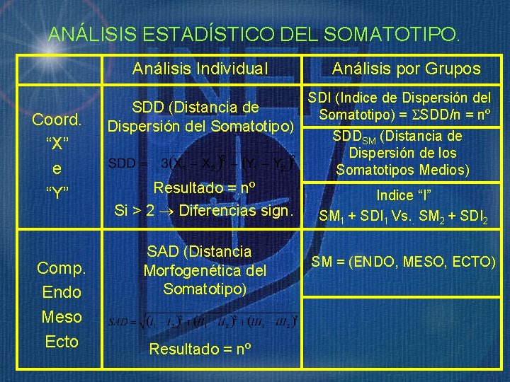 ANÁLISIS ESTADÍSTICO DEL SOMATOTIPO. Análisis Individual Coord. “X” e “Y” Comp. Endo Meso Ecto