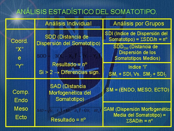 ANÁLISIS ESTADÍSTICO DEL SOMATOTIPO. Análisis Individual Coord. “X” e “Y” Comp. Endo Meso Ecto