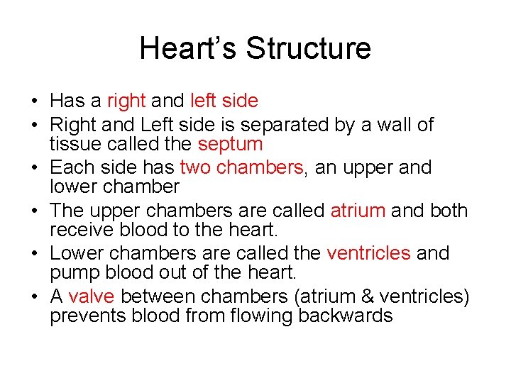 Heart’s Structure • Has a right and left side • Right and Left side