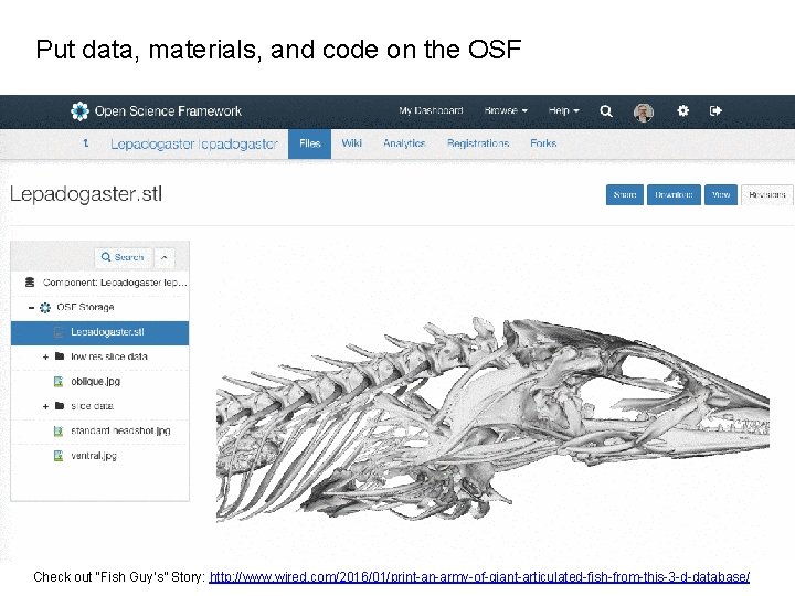Put data, materials, and code on the OSF Check out “Fish Guy’s” Story: http:
