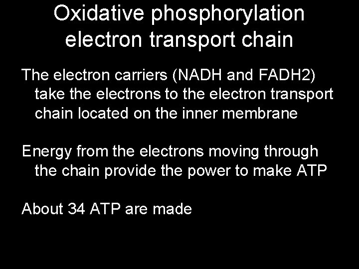 Oxidative phosphorylation electron transport chain The electron carriers (NADH and FADH 2) take the