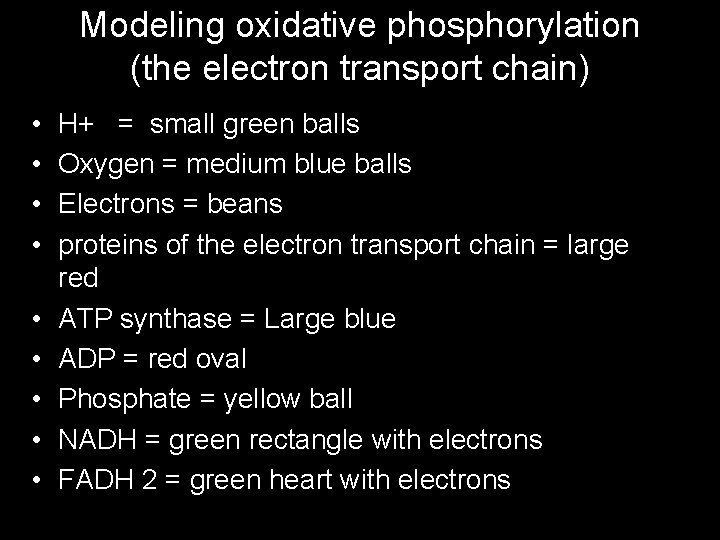 Modeling oxidative phosphorylation (the electron transport chain) • • • H+ = small green