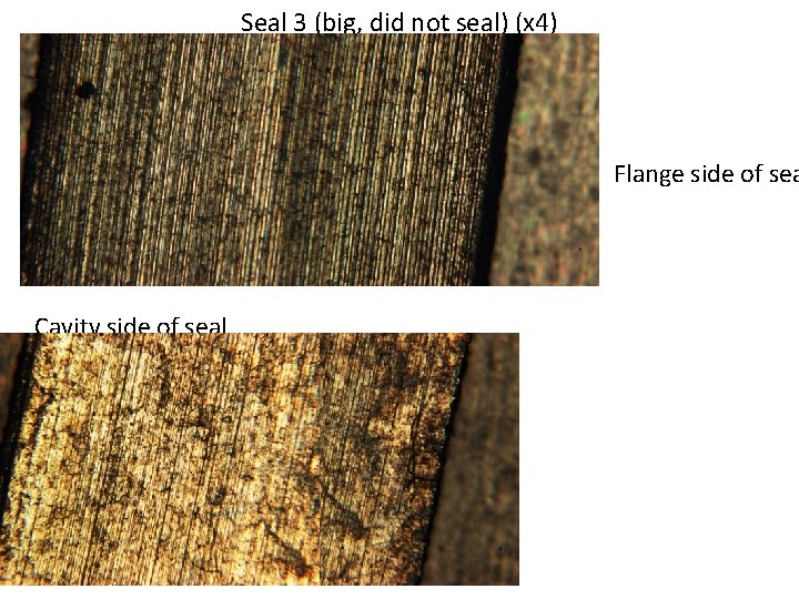 Seal 3 (big, did not seal) (x 4) Flange side of sea Cavity side