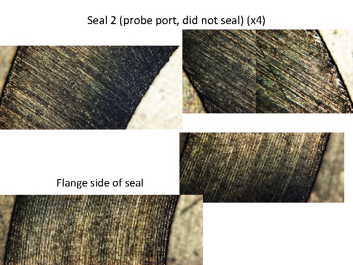 Seal 2 (probe port, did not seal) (x 4) Flange side of seal 