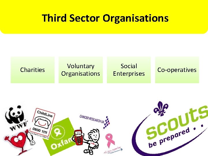 Third Sector Organisations Charities Voluntary Organisations Social Enterprises Co-operatives 
