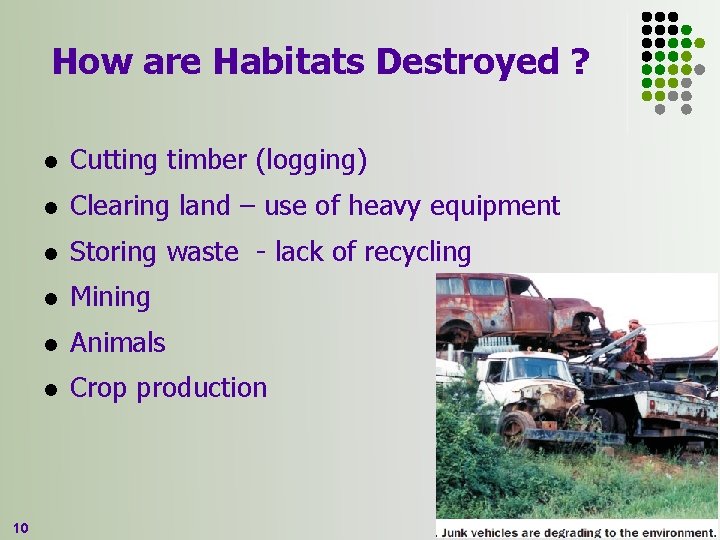 How are Habitats Destroyed ? 10 l Cutting timber (logging) l Clearing land –
