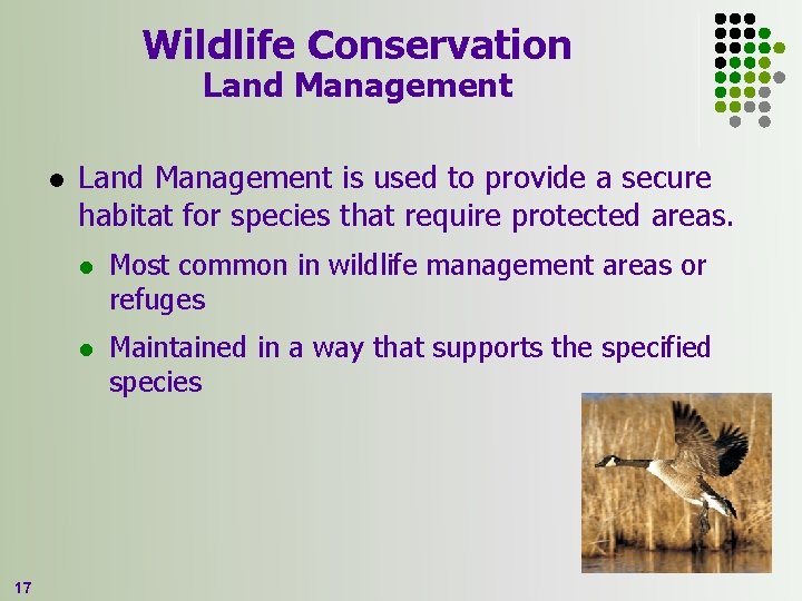 Wildlife Conservation Land Management l 17 Land Management is used to provide a secure