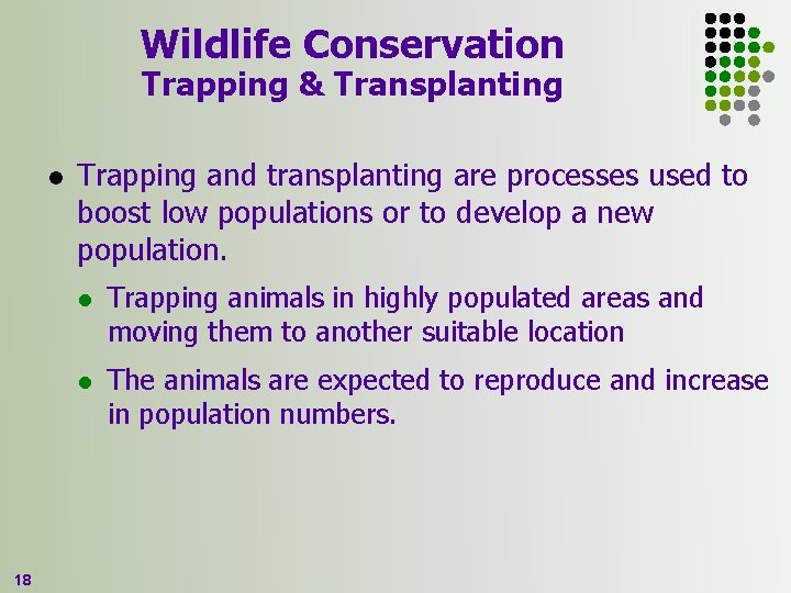 Wildlife Conservation Trapping & Transplanting l 18 Trapping and transplanting are processes used to