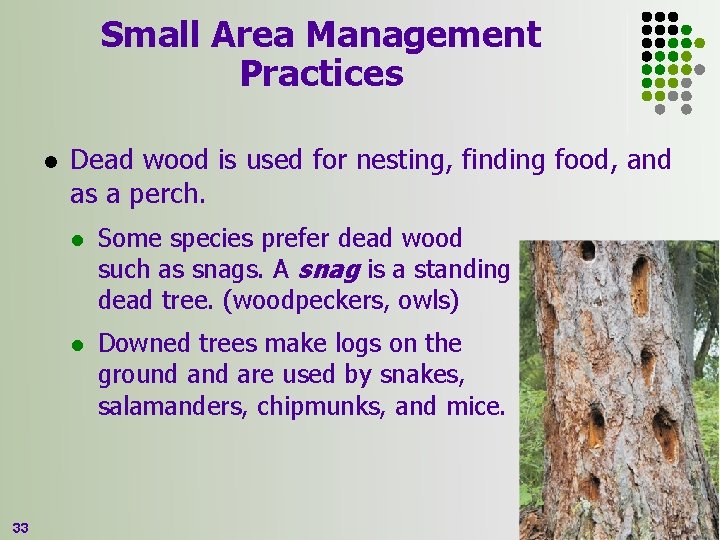 Small Area Management Practices l 33 Dead wood is used for nesting, finding food,
