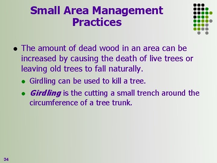 Small Area Management Practices l The amount of dead wood in an area can