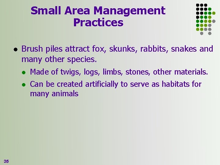 Small Area Management Practices l 35 Brush piles attract fox, skunks, rabbits, snakes and