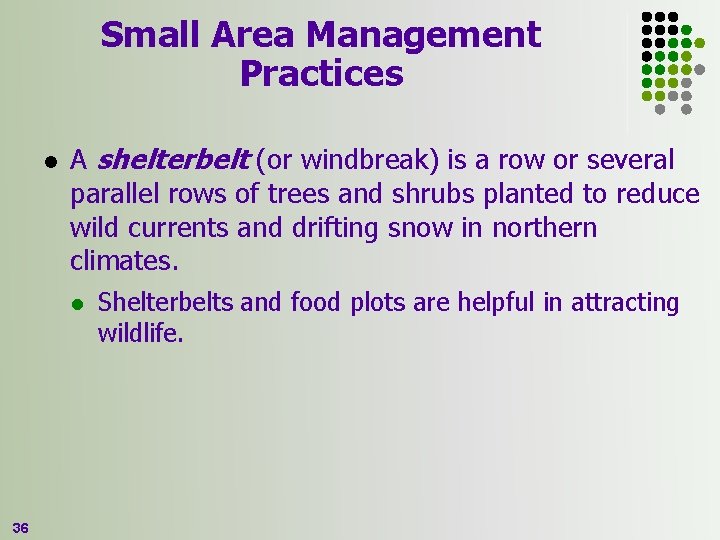 Small Area Management Practices l A shelterbelt (or windbreak) is a row or several