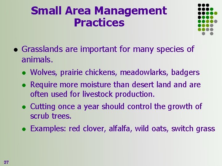 Small Area Management Practices l 37 Grasslands are important for many species of animals.