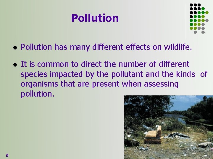 Pollution 5 l Pollution has many different effects on wildlife. l It is common