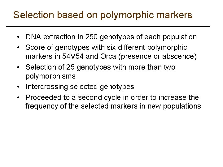 Selection based on polymorphic markers • DNA extraction in 250 genotypes of each population.