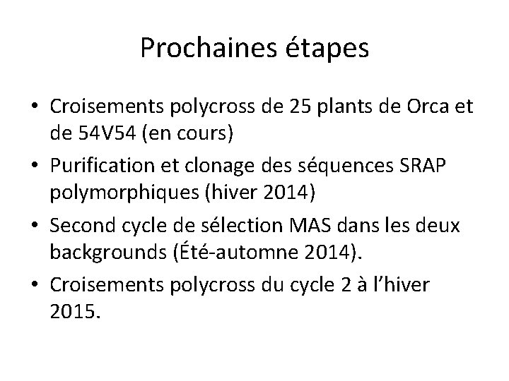 Prochaines étapes • Croisements polycross de 25 plants de Orca et de 54 V