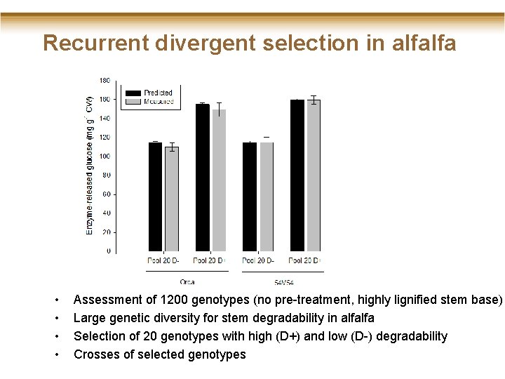 Recurrent divergent selection in alfalfa • • Assessment of 1200 genotypes (no pre-treatment, highly