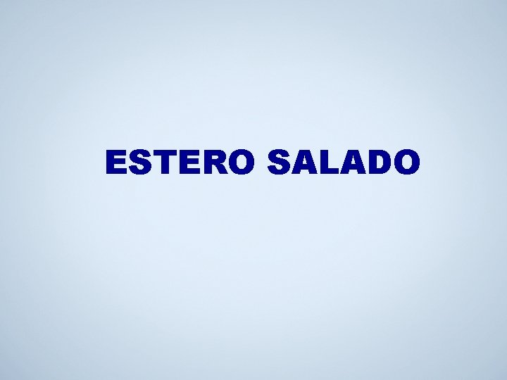 ESTERO SALADO 