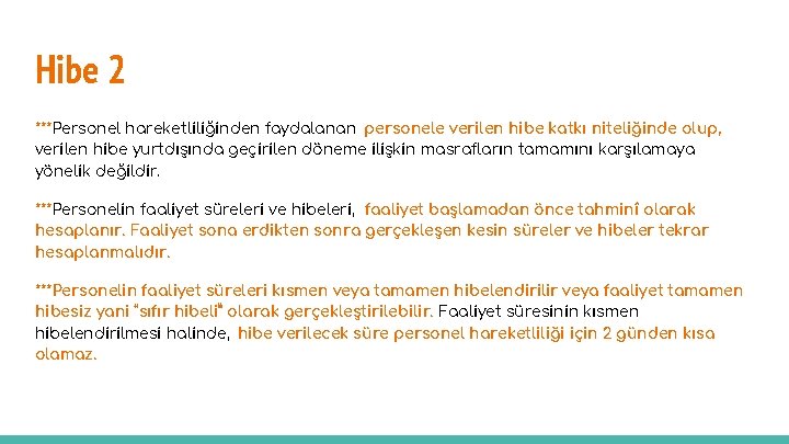 Hibe 2 ***Personel hareketliliğinden faydalanan personele verilen hibe katkı niteliğinde olup, verilen hibe yurtdışında