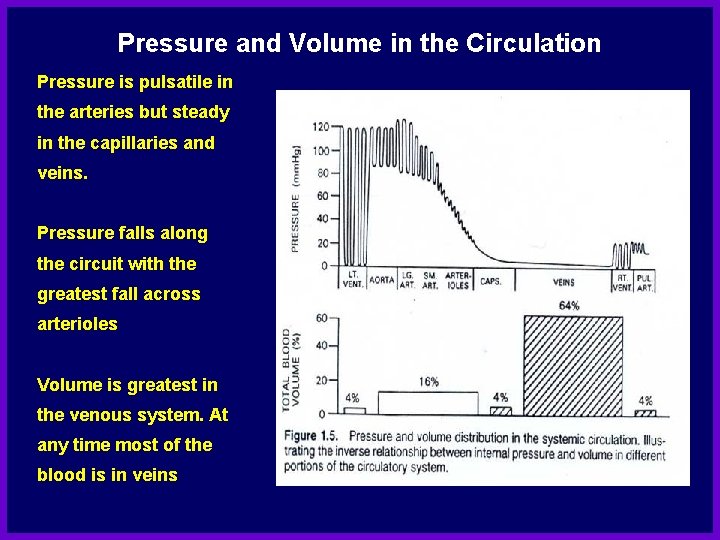 Pressure and Volume in the Circulation Pressure is pulsatile in the arteries but steady Pressure and Volume in the Circulation Pressure is pulsatile in the arteries but steady