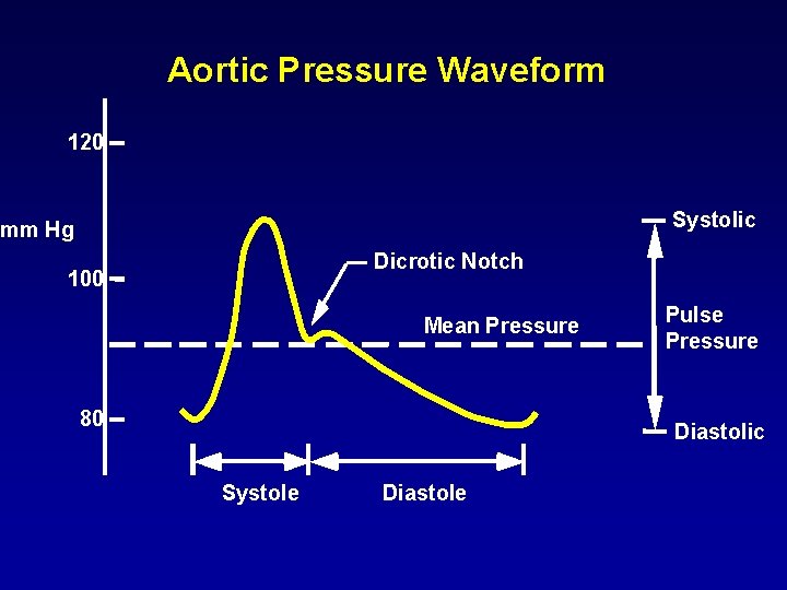 Aortic Pressure Waveform 120 Systolic mm Hg Dicrotic Notch 100 Mean Pressure 80 Pulse Aortic Pressure Waveform 120 Systolic mm Hg Dicrotic Notch 100 Mean Pressure 80 Pulse