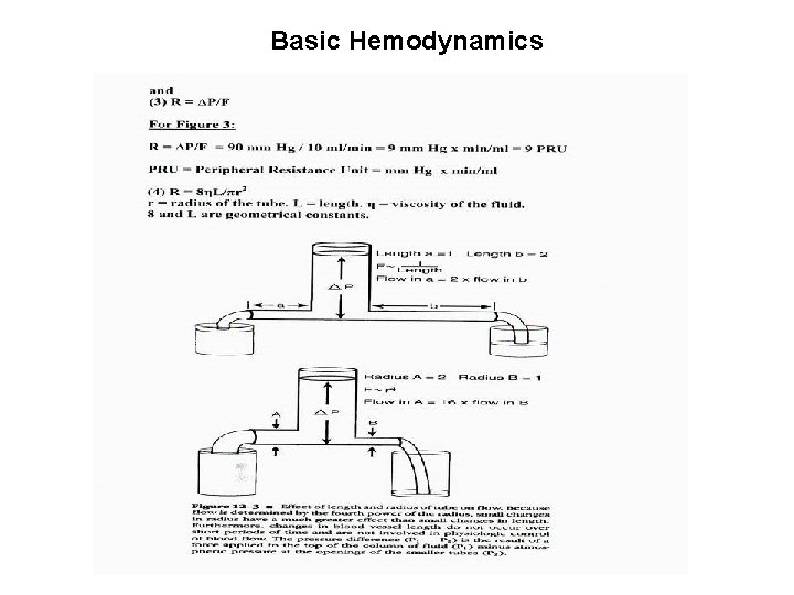Basic Hemodynamics Basic Hemodynamics