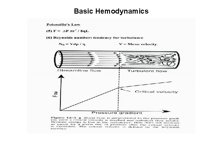 Basic Hemodynamics Basic Hemodynamics