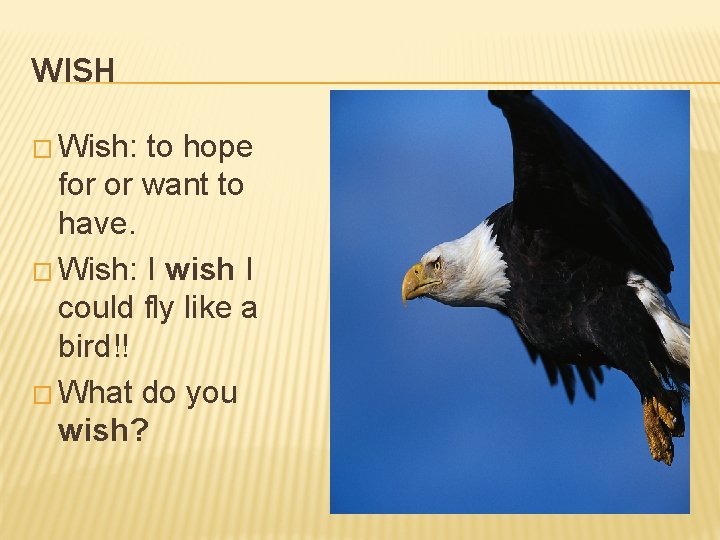 WISH � Wish: to hope for or want to have. � Wish: I wish