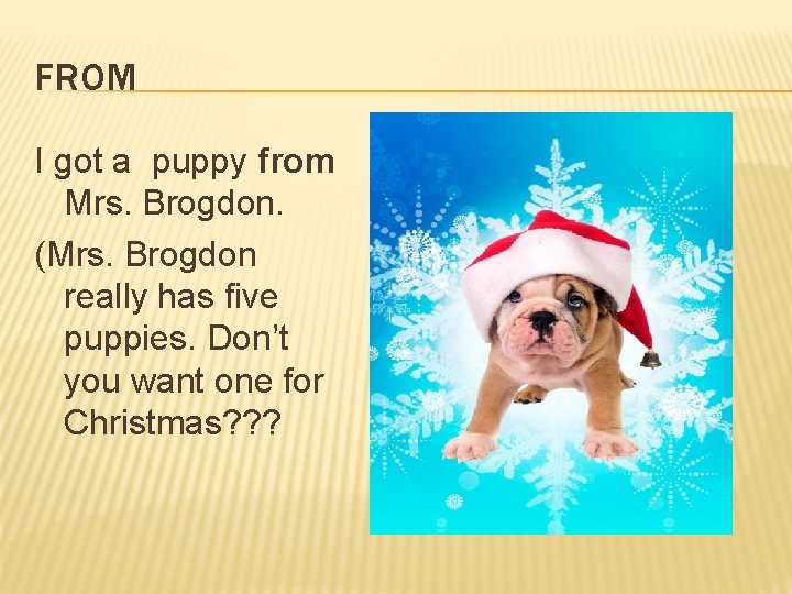 FROM I got a puppy from Mrs. Brogdon. (Mrs. Brogdon really has five puppies.