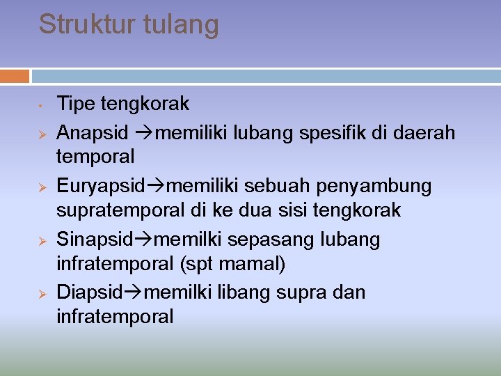 Struktur tulang • Ø Ø Tipe tengkorak Anapsid memiliki lubang spesifik di daerah temporal