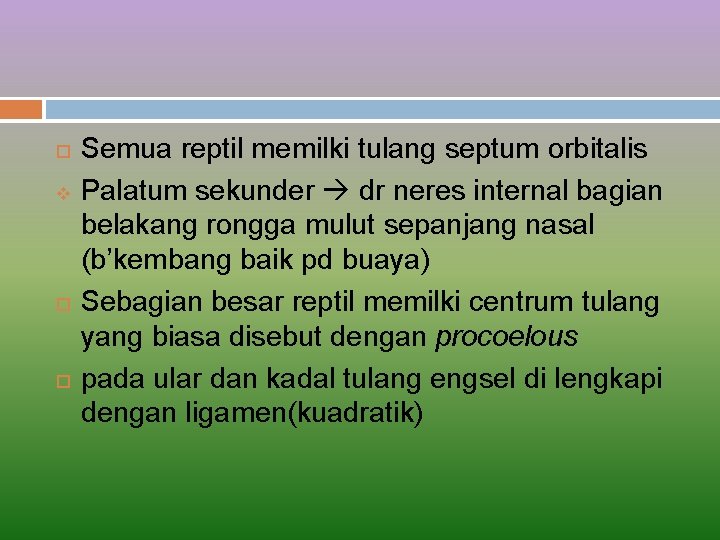  v Semua reptil memilki tulang septum orbitalis Palatum sekunder dr neres internal bagian