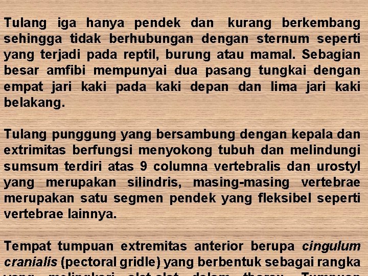 Tulang iga hanya pendek dan kurang berkembang sehingga tidak berhubungan dengan sternum seperti yang