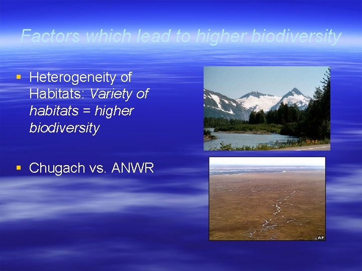 Factors which lead to higher biodiversity § Heterogeneity of Habitats: Variety of habitats =