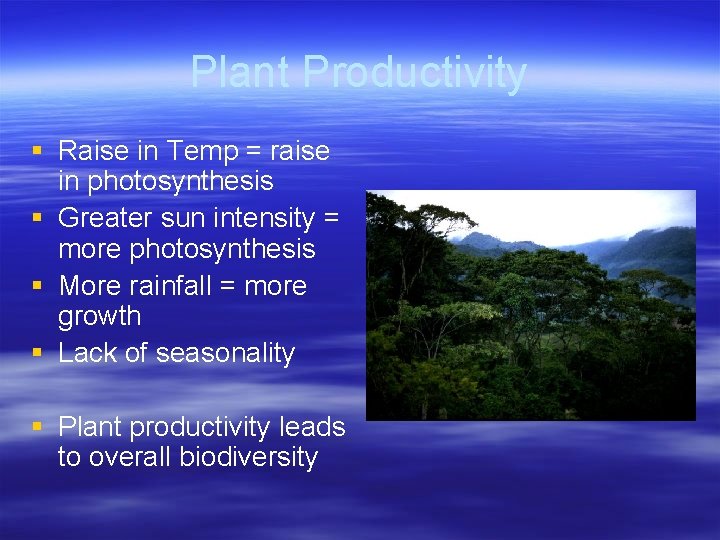 Plant Productivity § Raise in Temp = raise in photosynthesis § Greater sun intensity
