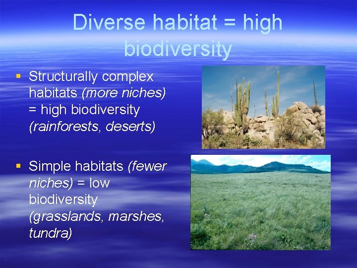 Diverse habitat = high biodiversity § Structurally complex habitats (more niches) = high biodiversity
