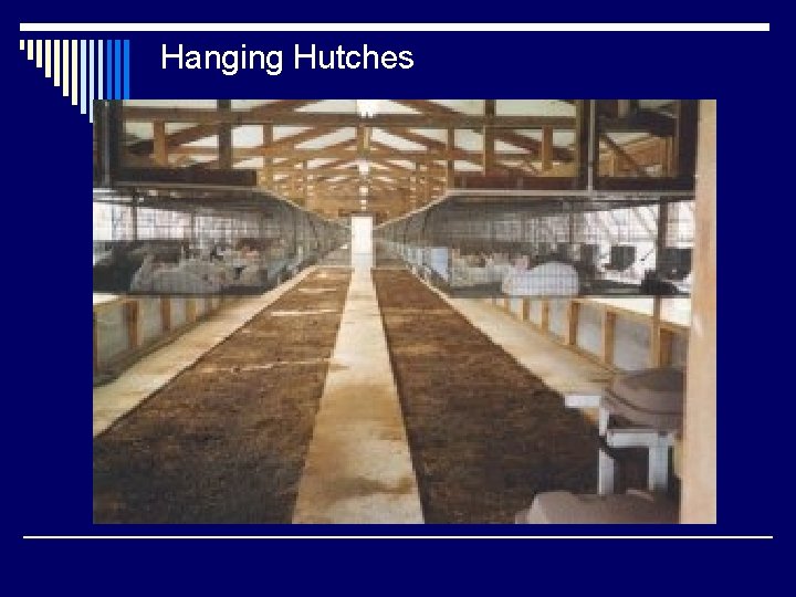 Hanging Hutches 