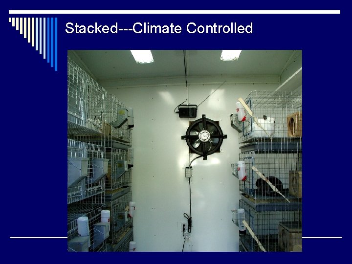 Stacked---Climate Controlled 