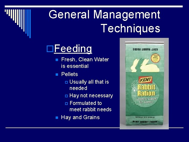 General Management Techniques o. Feeding n n n Fresh, Clean Water is essential Pellets